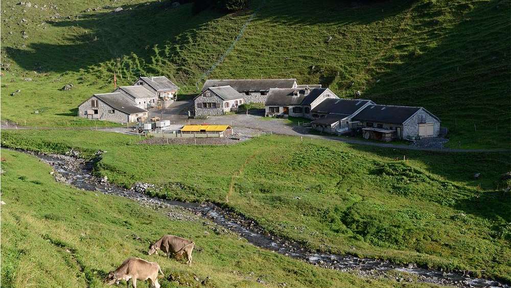 Alperlebnis Bächialp