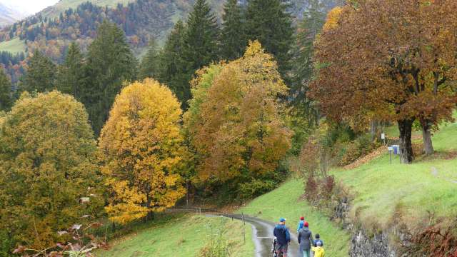 Flechtenlehrpfad Braunwald