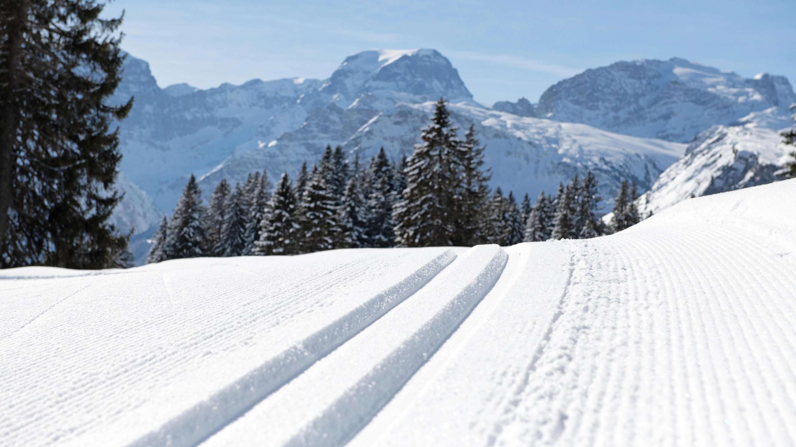 Bergfex Loipenbericht