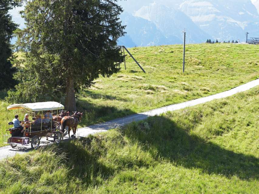 Kutschenfahrten Braunwald