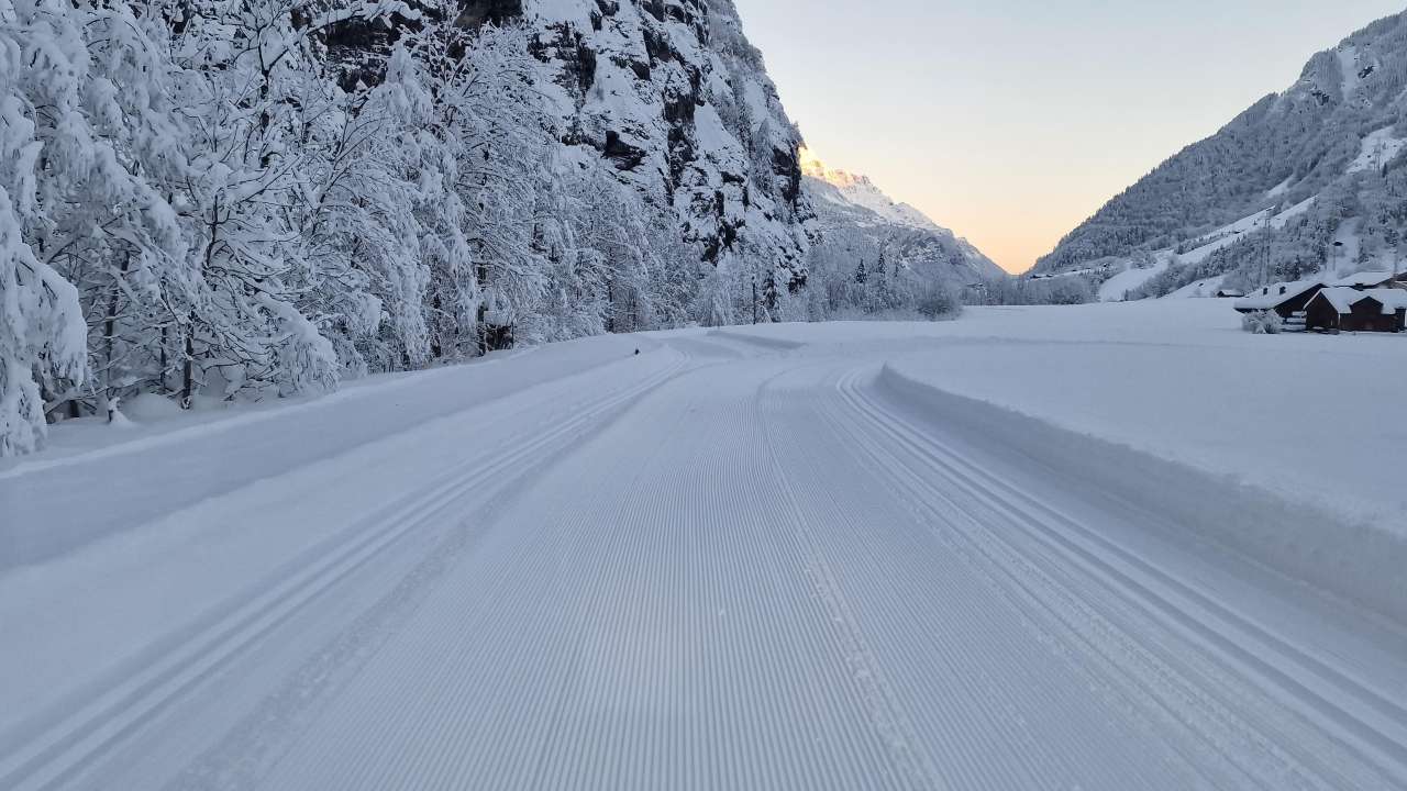 Langlaufloipe Linthal, Tierfed