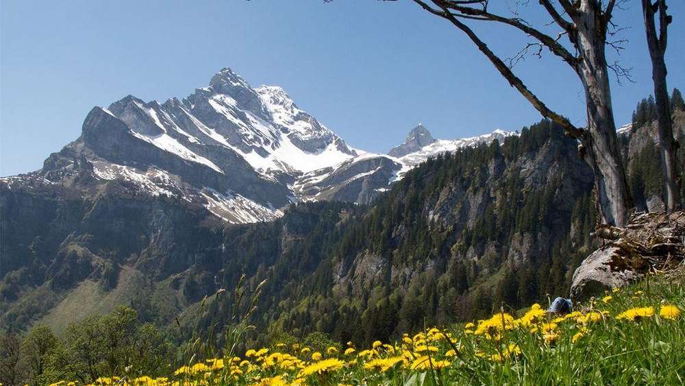 BRIMO Archiktektur und Immobilien AG