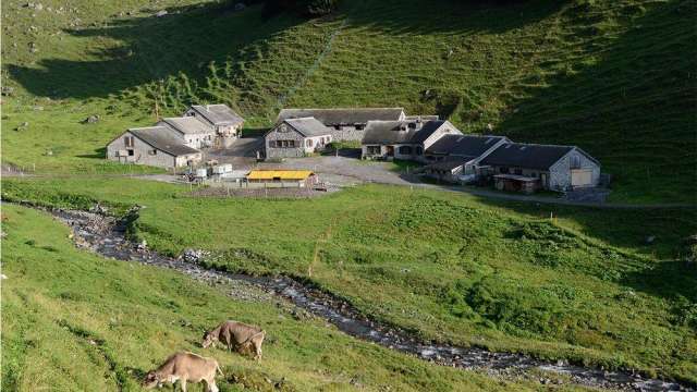 Alperlebnis Bächialp