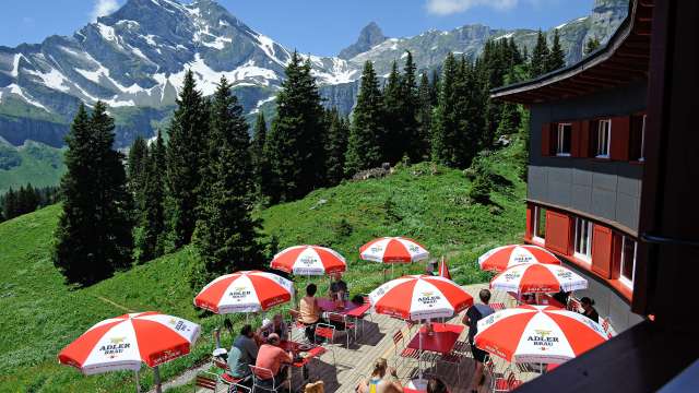 Musik-Karussell mit den Steilörgeler, 27. Juni 2026