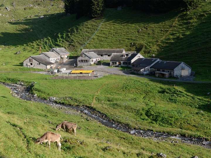 Alperlebnis Bächialp