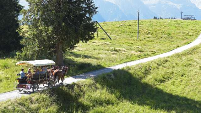 Kutschenfahrten Braunwald