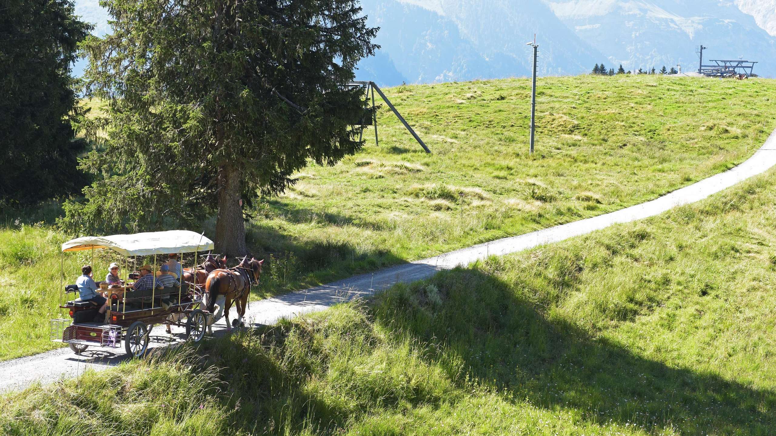 Kutschenfahrten Braunwald