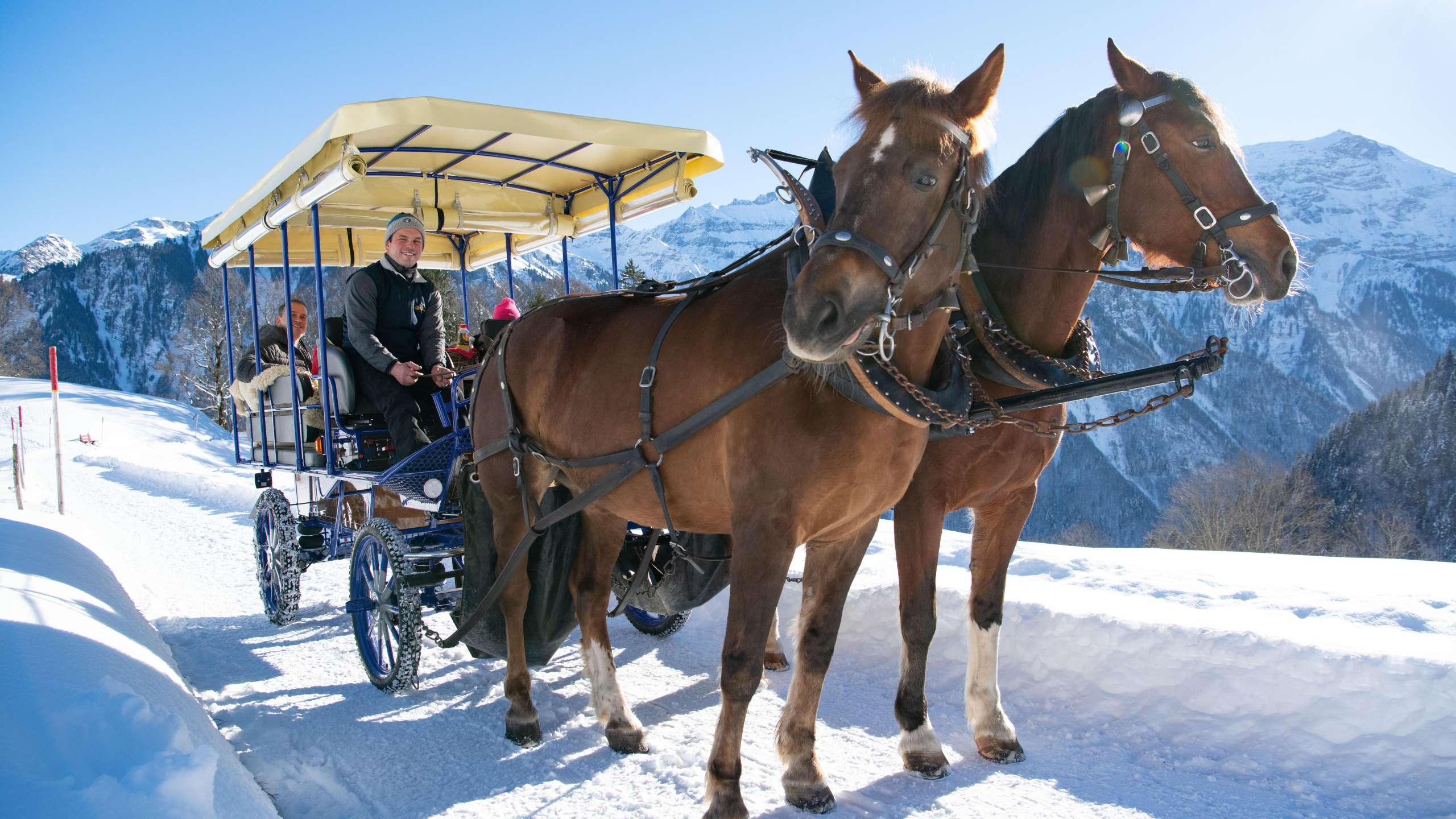 Bergromantik mit starken Hufen und heissem Stein