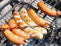 Feuerstelle Forsthütte Chnügrat