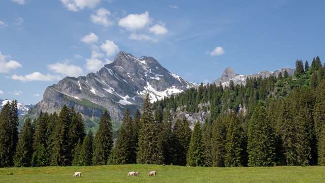 Destination Braunwald startet gemeinsamen Strategieprozess