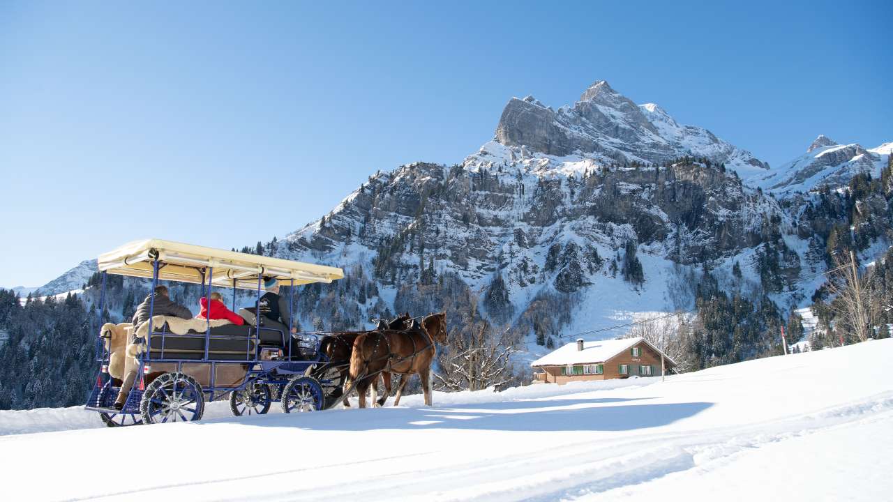 Kutschenfahrten Braunwald