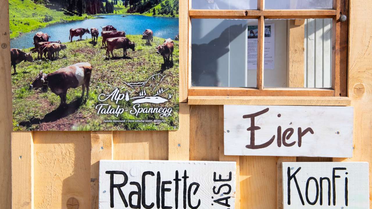 Alpkäse-Hüsli in Beglingen, Mollis