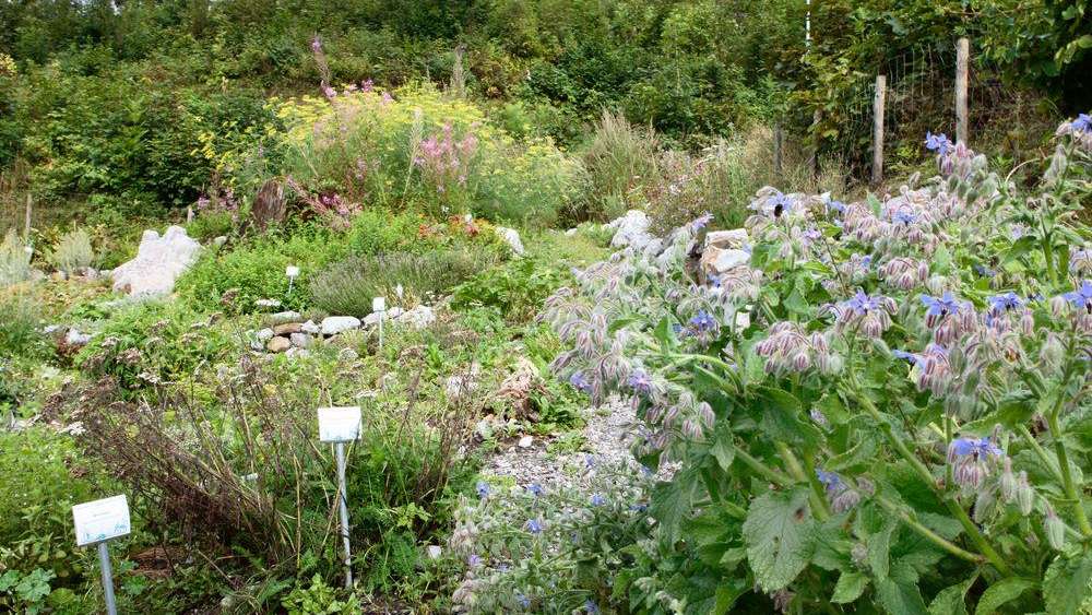 Kräutergarten