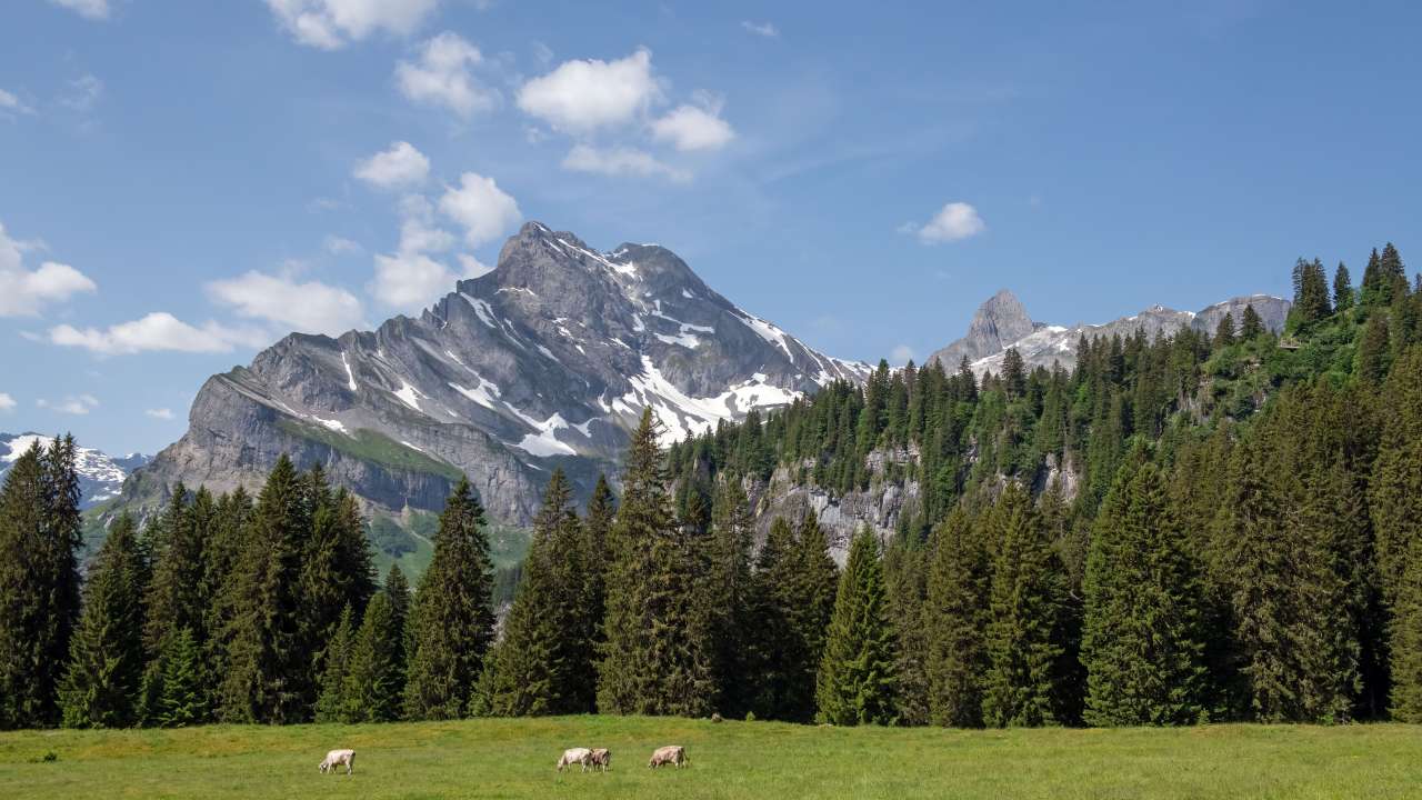 Destination Braunwald startet gemeinsamen Strategieprozess