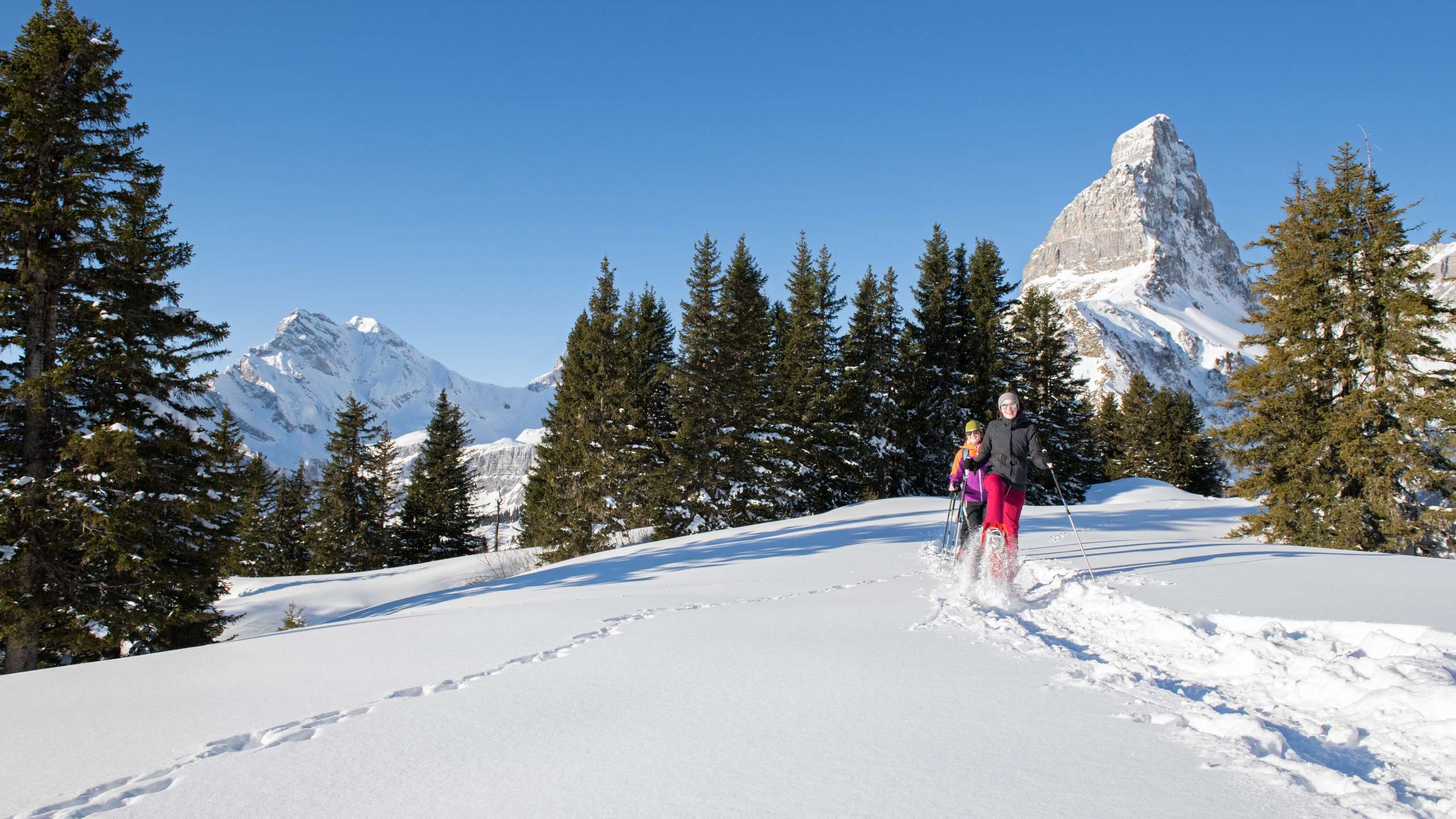 Winterwanderungen Braunwald