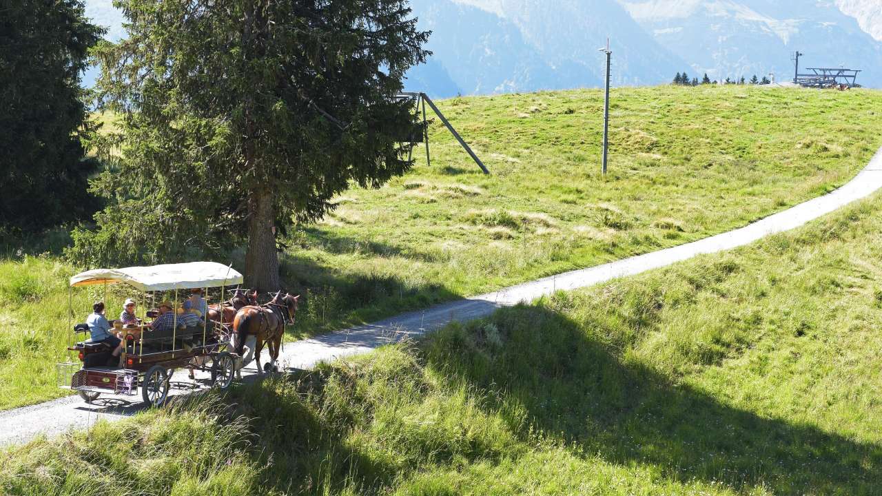 Kutschenfahrten Braunwald