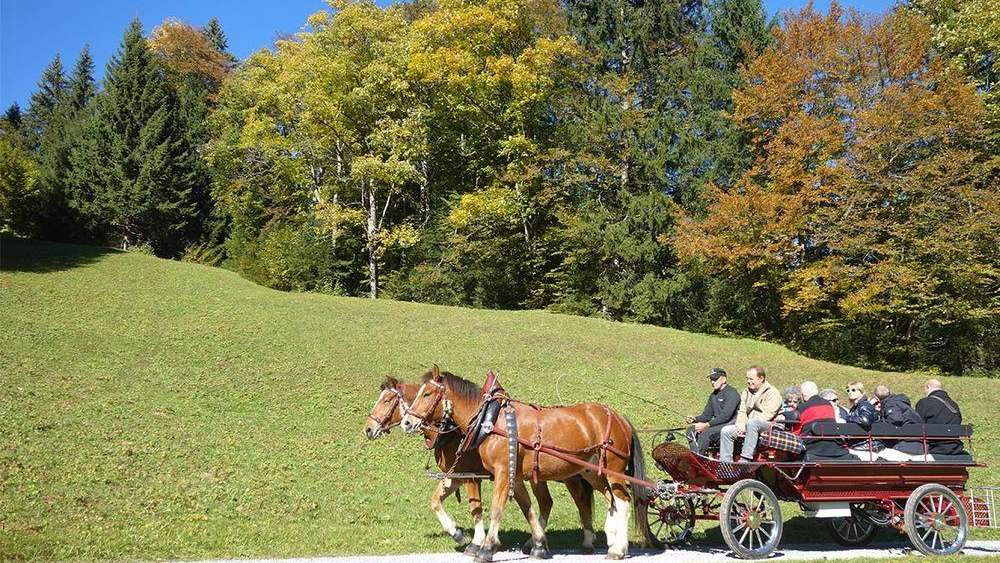 Braunwald Mobil