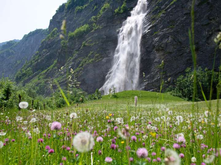 Schreyenbachfall