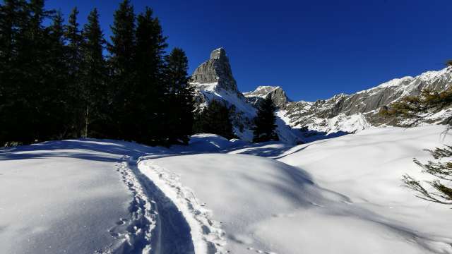 Schneeschuhtour Äggschenrundi Bruwald