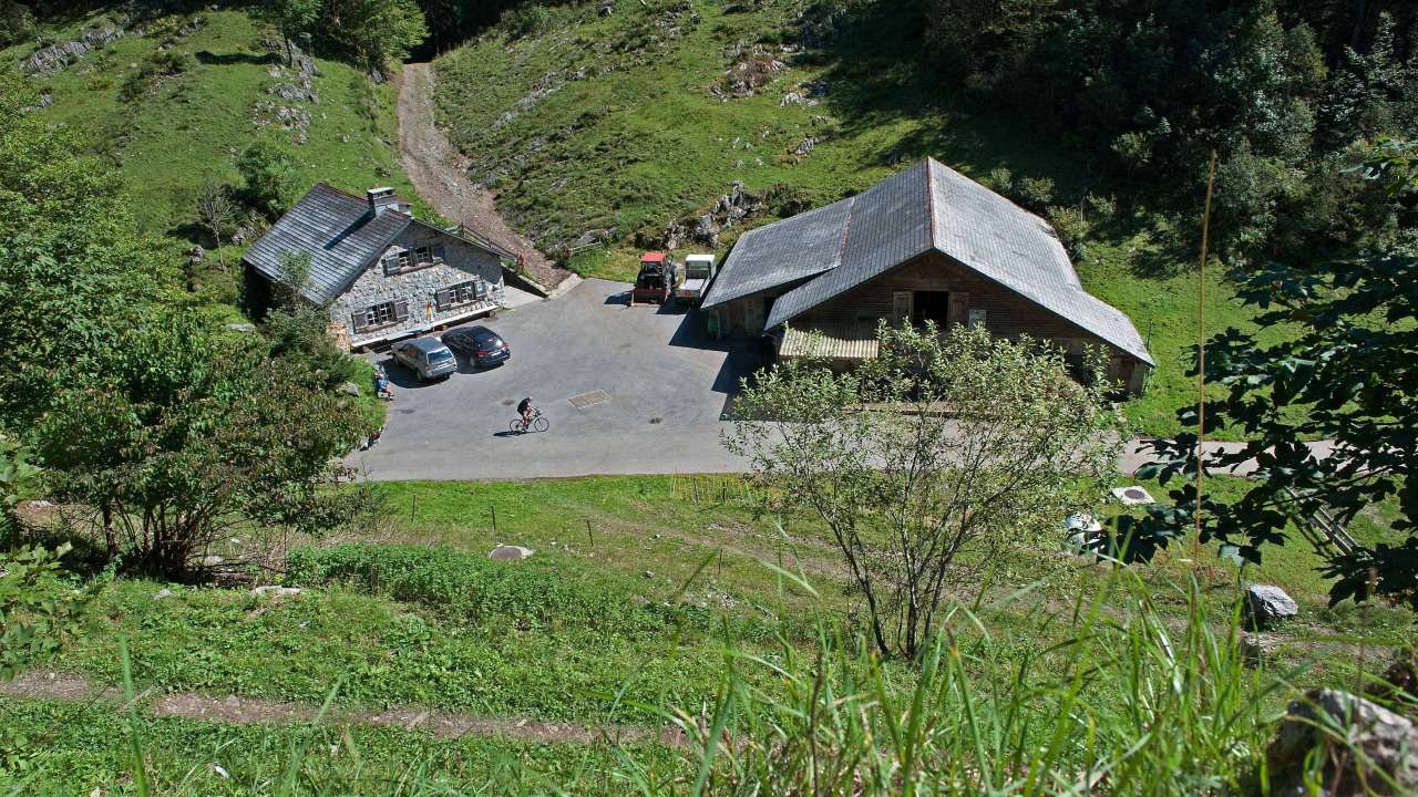 Käsepass Alp Talalp-Spanegg