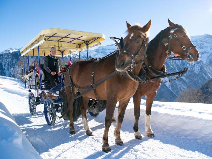 Bergromantik mit starken Hufen und heissem Stein