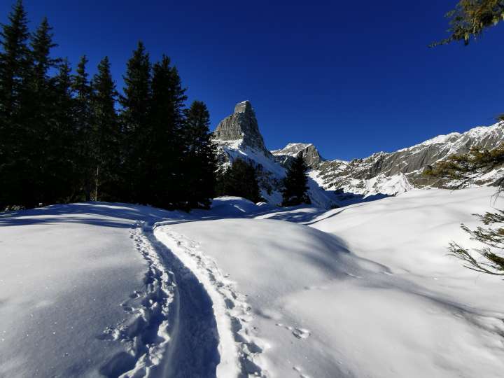 Schneeschuhtour Äggschenrundi Bruwald