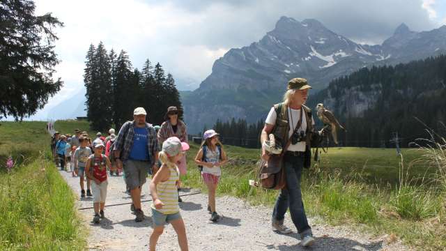 Familienprogramm: Unterwegs mit dem Greifvogel Mittwoch, 5. August 2026
