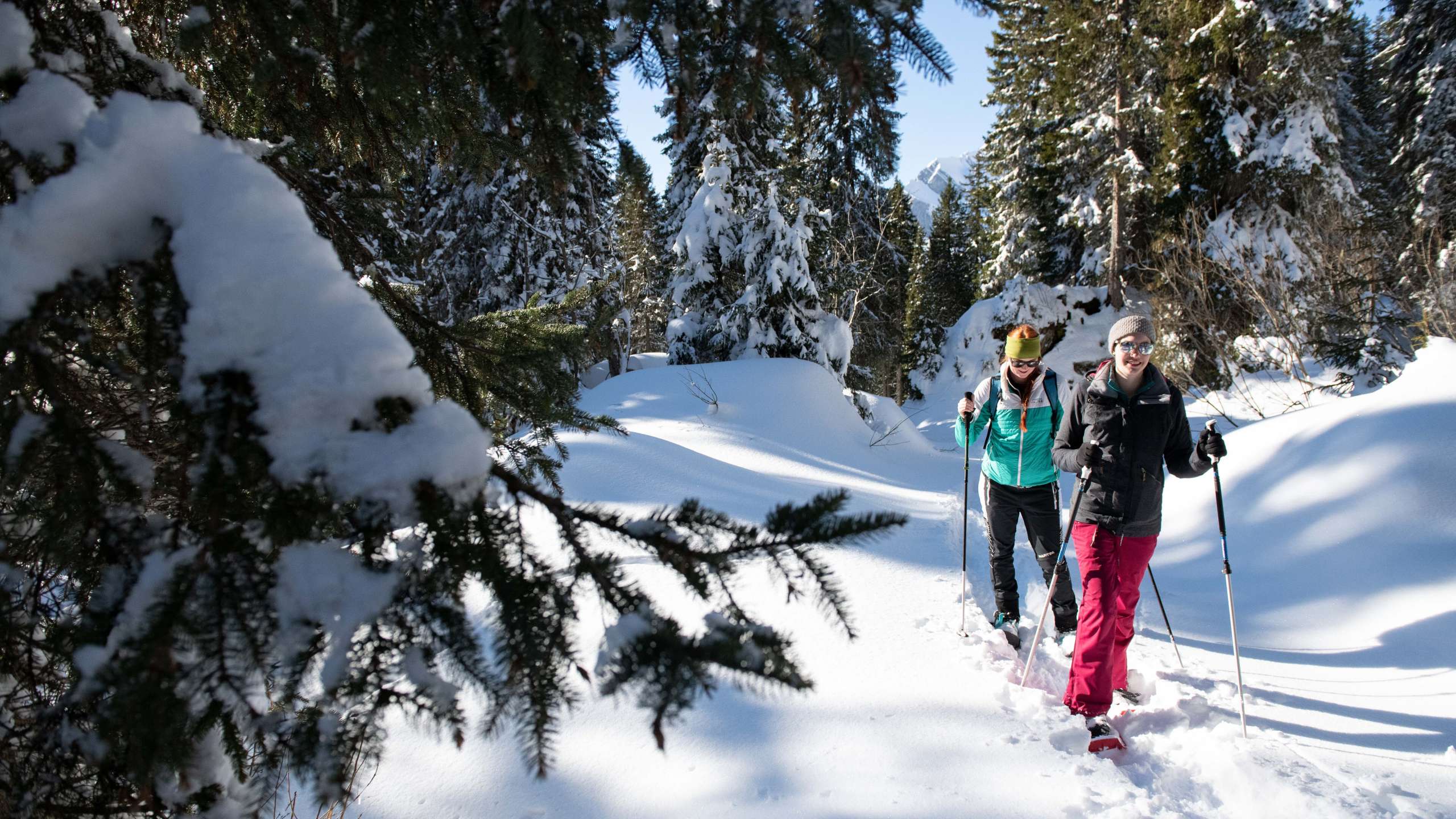 Panoramawanderung Braunwald