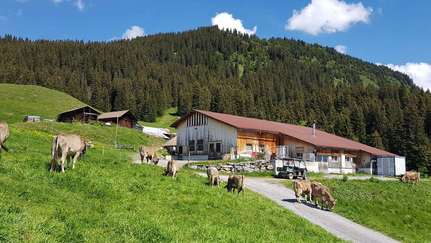 Käsepass Alp Braunwald