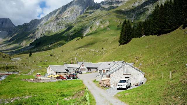 Käsepass Alp Bösbächi