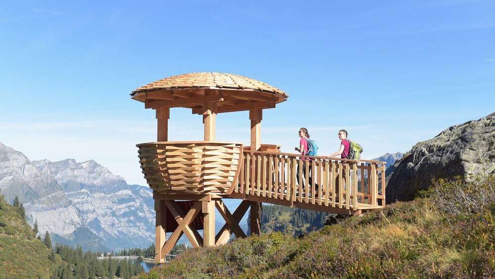 Wildbeobachtungs-Stationen