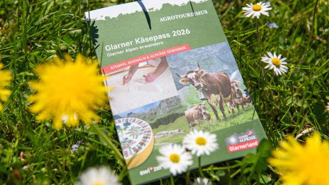 Bewusst in die Alpgebiete wandern