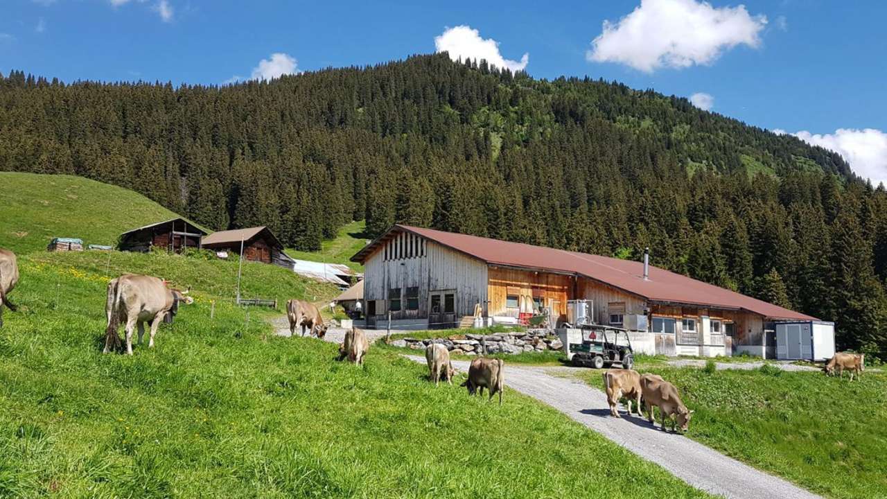 Käsepass Alp Braunwald