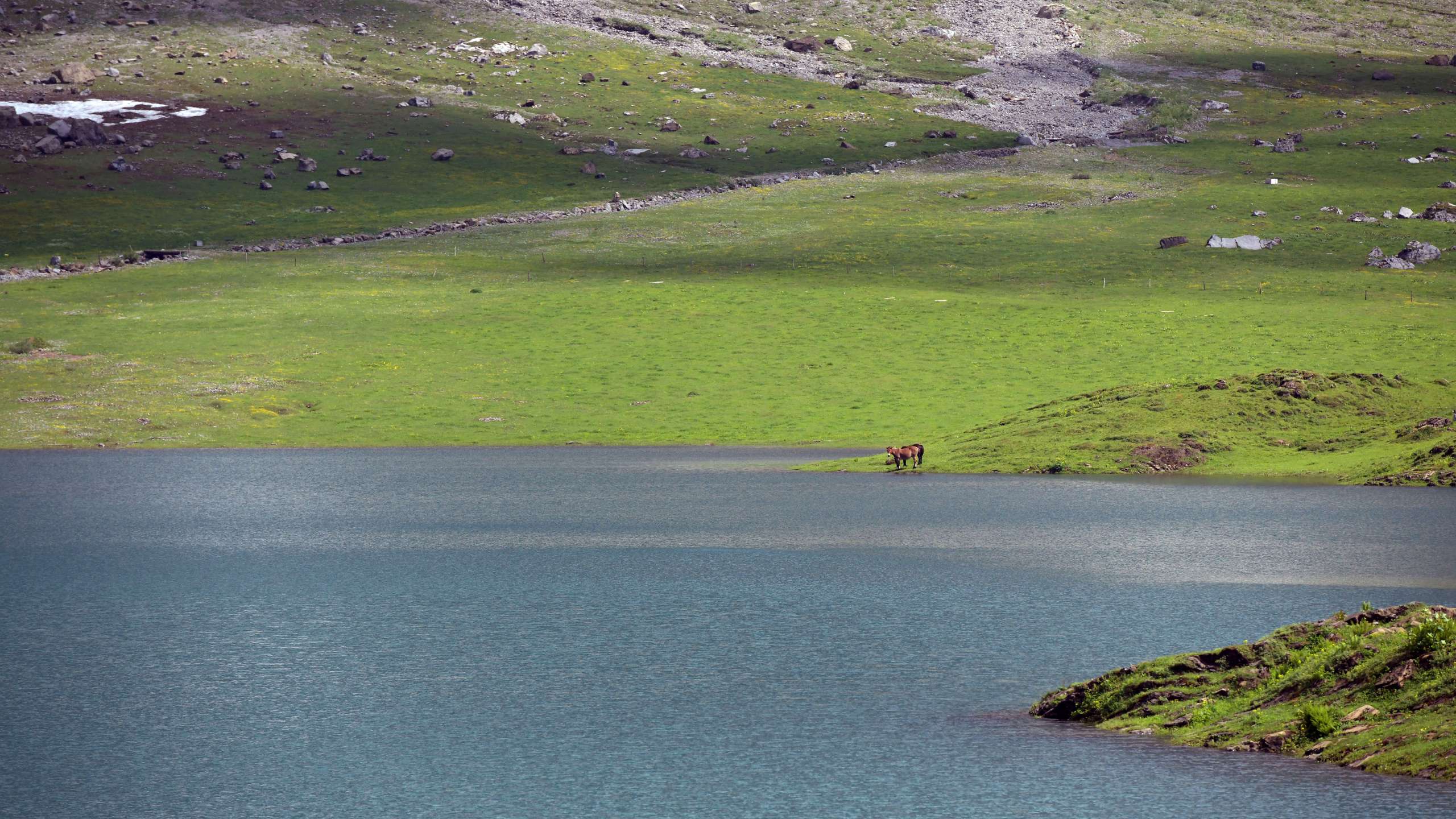 Dr Geisser am Oberblegisee