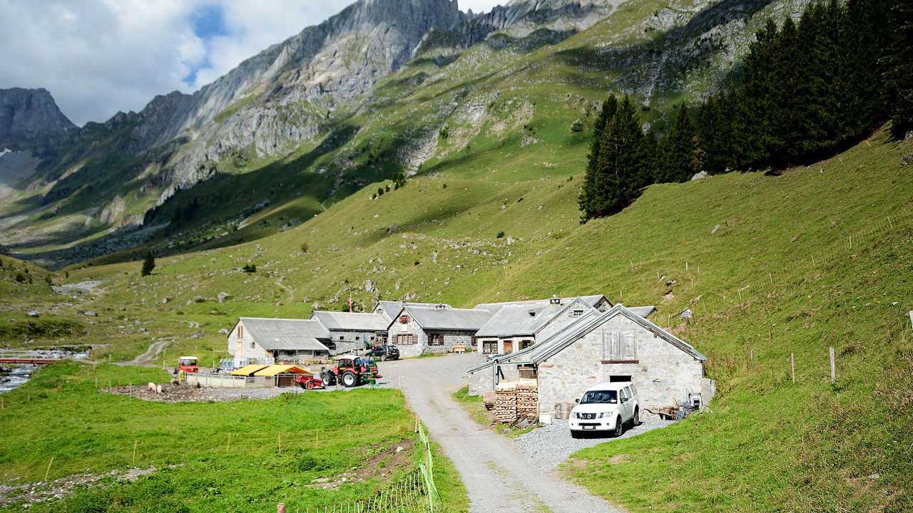 Käsepass Alp Bösbächi