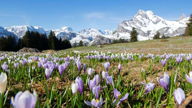 Wandern am Auffahrts Wochenende, 14. - 17. Mai 2026