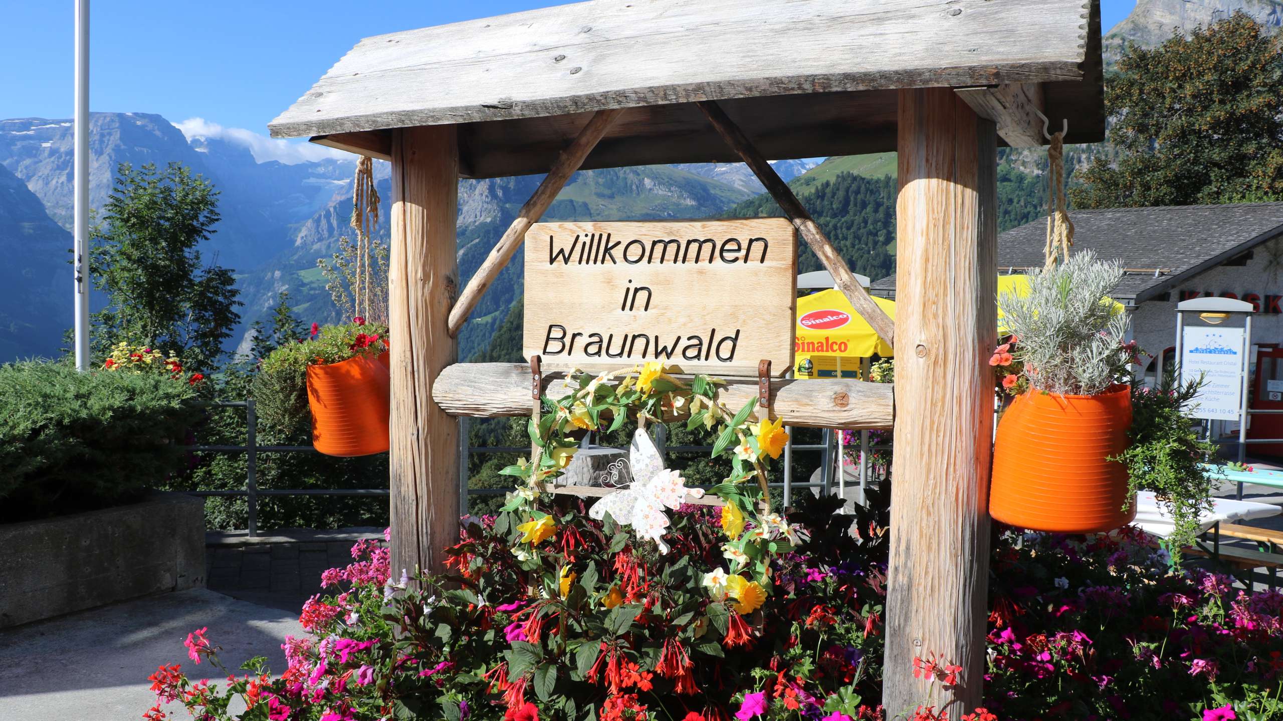 Braunwald